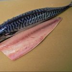 buy mackerel online